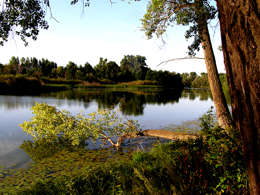 Вислый камень Самара