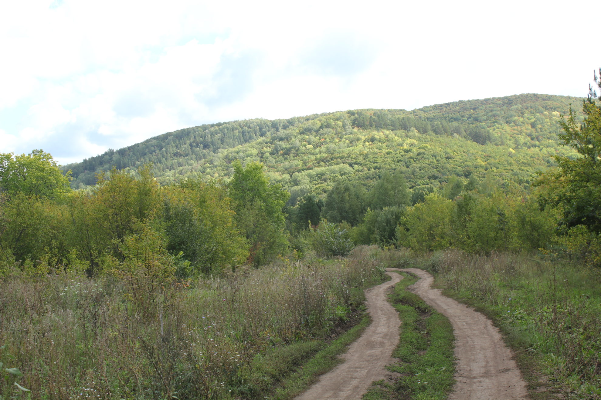 Каменная коза Самарская область гора